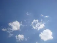 DSC09310.webp