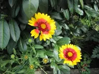 025.webp