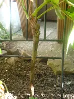DSC09319.webp