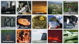 Juli 2012 Atemberaubende Momente v.webp