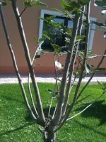 IMAG1402.webp