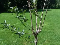 IMAG1404.webp