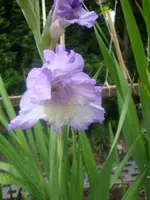 DSC09226.webp