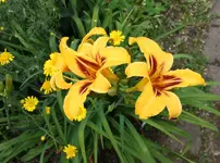 web_IMG_2666.webp