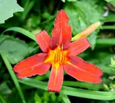 IMG_3057.webp