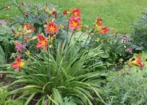 web_IMG_2665.webp