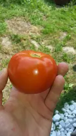 20120802_130029.webp