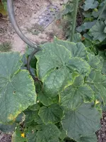 20120730_193512.webp