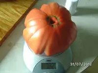 k-BILD1282.webp