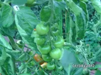 k-BILD1289.webp