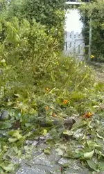 Schaden11.webp