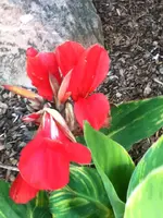 228.webp