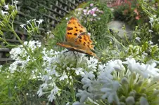 2012_0731Sommer0005.webp