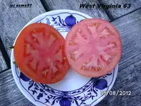BILD0500.webp