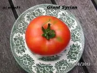 BILD0503.webp