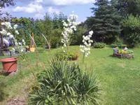 IMG_20120729_151846.webp