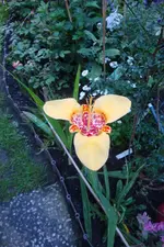 DSC08421.webp