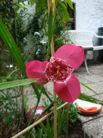 DSC08430.webp