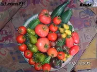 BILD0509.webp