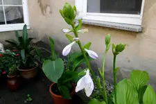 IMG_0001 (2) .webp