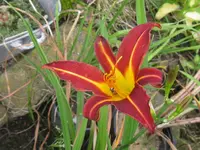 IMG_belgien_1024x768.webp