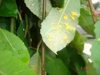 DSC05091.webp