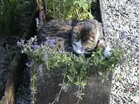 DSC00003.webp