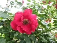 034.webp