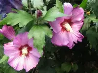 024.webp