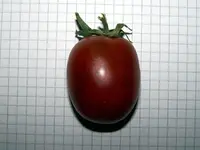 12.08.04-Plum-tomato.webp