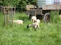 DSC09383.webp