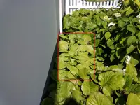 04082012769.webp