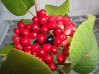 DSCF3345.webp
