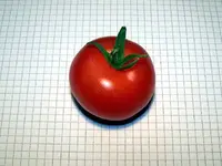 12.08.04-tomaten-harzglut-f1.webp