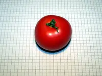 12.08.04-tomaten-tamina.webp