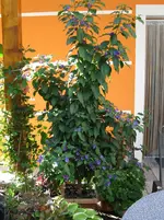 IMG_0432.webp