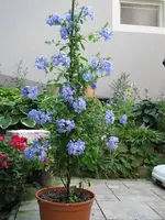 IMG_0436.webp