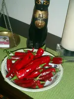 CIMG0001.webp