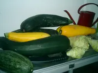 CIMG0004.webp