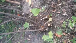 20120804_182943.webp