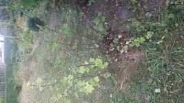 20120804_182854.webp