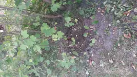 20120804_182903.webp