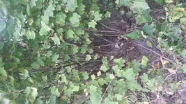 20120804_182925.webp