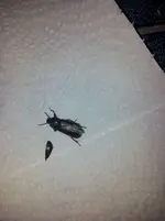 20120804_234648.webp