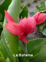 30.webp