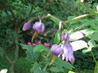 IMG_3439_1024x768.webp