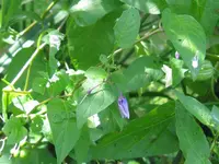 IMG_3440_1024x768.webp