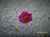 001.webp