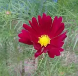 2012-08-03 12.31.38.webp