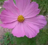2012-08-03 12.31.47.webp